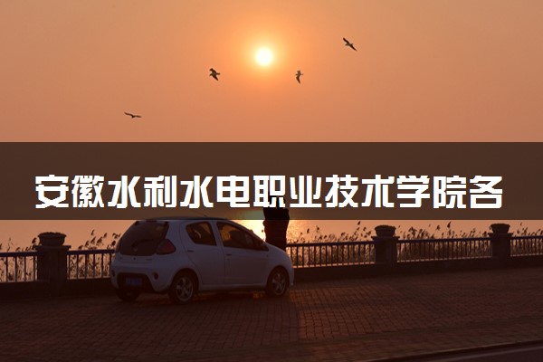 安徽水利水电职业技术学院各省录取分数线及位次 投档最低分是多少(2024年高考参考)