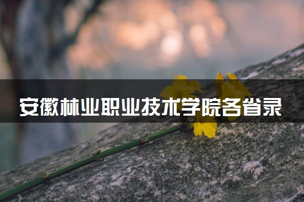 安徽林业职业技术学院各省录取分数线及位次 投档最低分是多少(2024年高考参考)