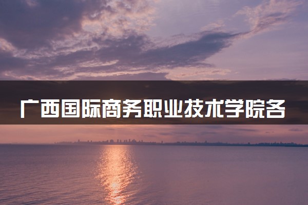 广西国际商务职业技术学院各省录取分数线及位次 投档最低分是多少(2024年高考参考)