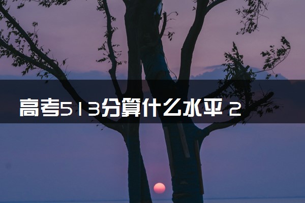 高考513分算什么水平 2024能上哪些大学