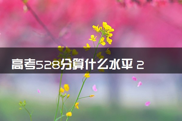 高考528分算什么水平 2024能上哪些大学