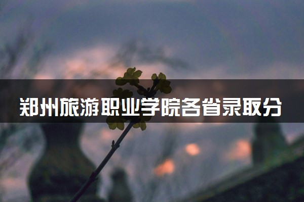 郑州旅游职业学院各省录取分数线及位次 投档最低分是多少(2024年高考参考)