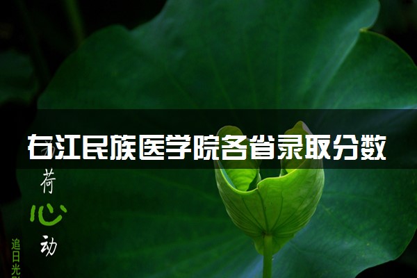 右江民族医学院各省录取分数线及位次 投档最低分是多少(2024年高考参考)