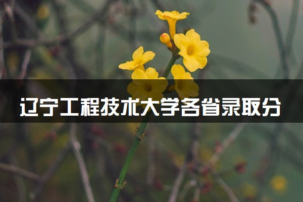 辽宁工程技术大学各省录取分数线及位次 投档最低分是多少(2024年高考参考)