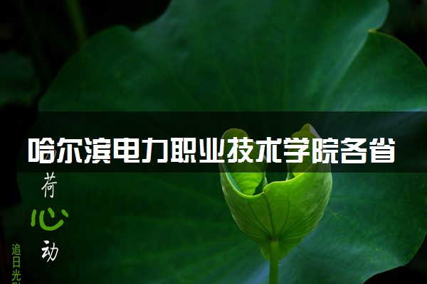 哈尔滨电力职业技术学院各省录取分数线及位次 投档最低分是多少(2024年高考参考)