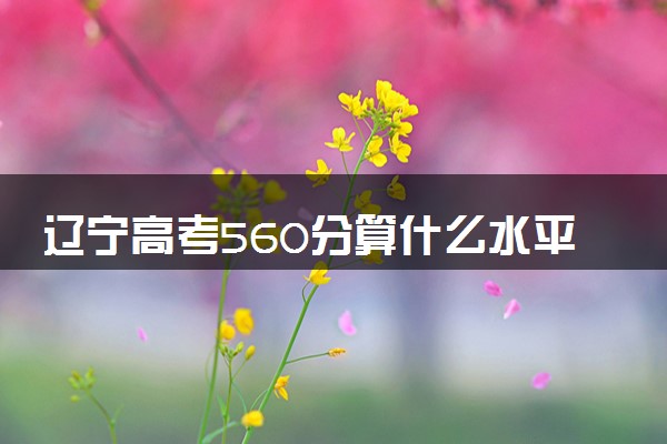 辽宁高考560分算什么水平 2024能上哪些大学