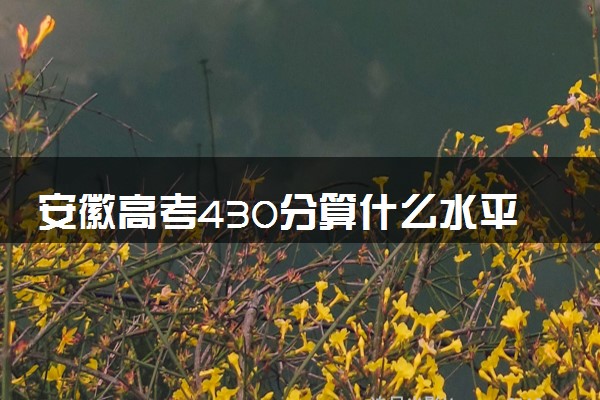 安徽高考430分算什么水平 2024能上哪些大学
