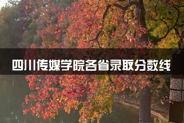 四川传媒学院各省录取分数线及位次 投档最低分是多少(2024年高考参考)