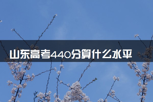 山东高考440分算什么水平 2024能上哪些大学