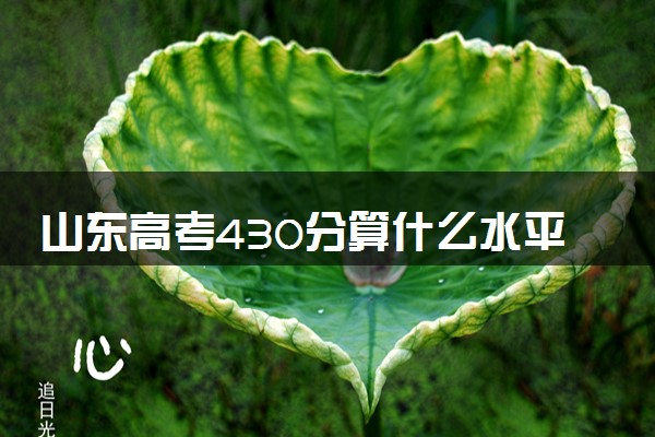 山东高考430分算什么水平 2024能上哪些大学