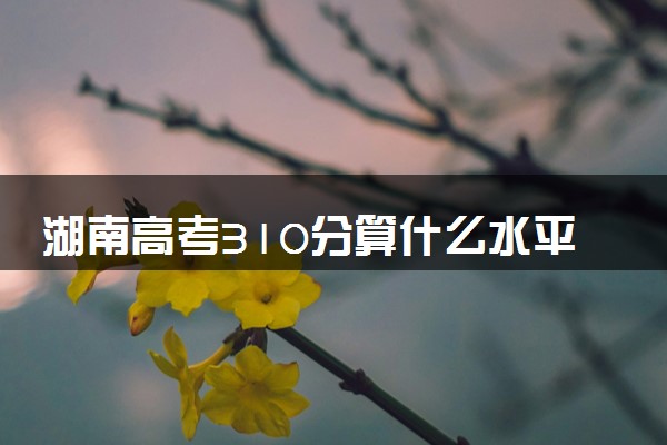湖南高考310分算什么水平 2024能上哪些大学