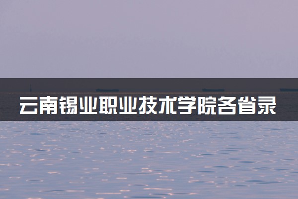 云南锡业职业技术学院各省录取分数线及位次 投档最低分是多少(2024年高考参考)