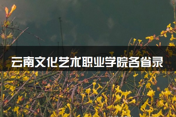云南文化艺术职业学院各省录取分数线及位次 投档最低分是多少(2024年高考参考)