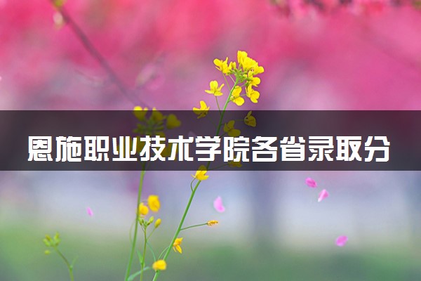 恩施职业技术学院各省录取分数线及位次 投档最低分是多少(2024年高考参考)