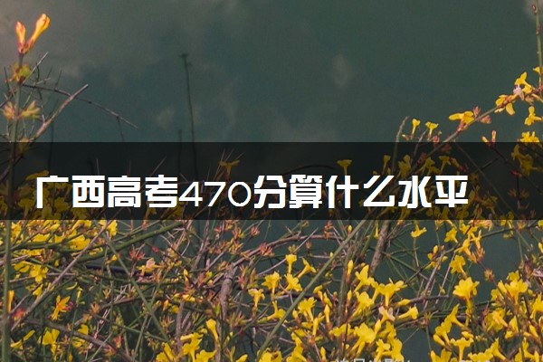 广西高考470分算什么水平 2024能上哪些大学