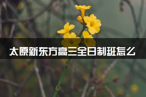 太原新东方高三全日制班怎么样