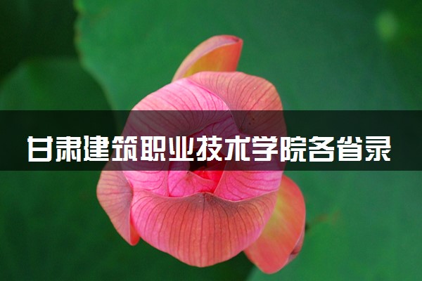 甘肃建筑职业技术学院各省录取分数线及位次 投档最低分是多少(2024年高考参考)