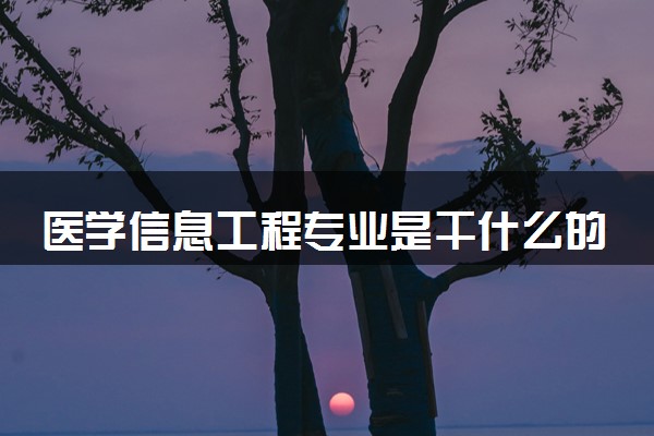 医学信息工程专业是干什么的 就业前景怎么样