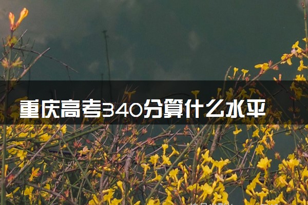 重庆高考340分算什么水平 2024能上哪些大学