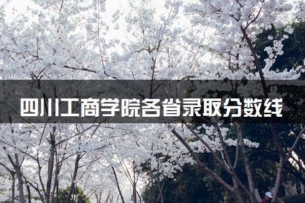 四川工商学院各省录取分数线及位次 投档最低分是多少(2024年高考参考)