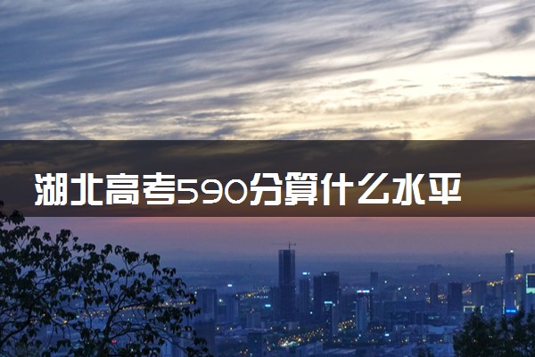湖北高考590分算什么水平 2024能上哪些大学