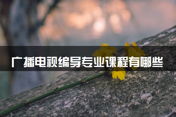 广播电视编导专业课程有哪些 有什么就业方向