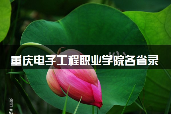 重庆电子工程职业学院各省录取分数线及位次 投档最低分是多少(2024年高考参考)