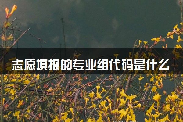 志愿填报的专业组代码是什么意思 注意什么
