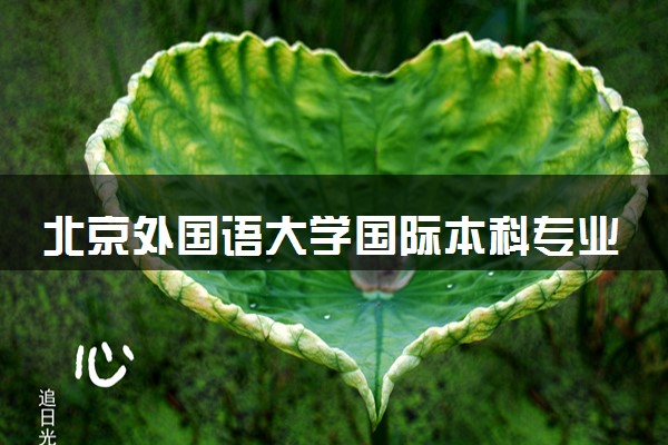 北京外国语大学国际本科专业课程