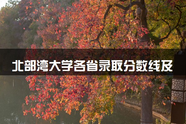 北部湾大学各省录取分数线及位次 投档最低分是多少(2024年高考参考)