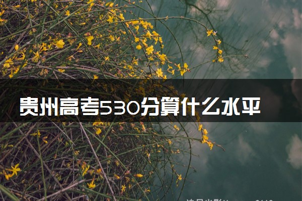 贵州高考530分算什么水平 2024能上哪些大学