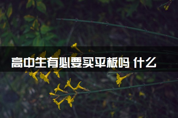 高中生有必要买平板吗 什么牌子好