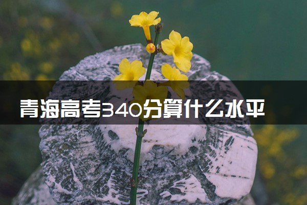青海高考340分算什么水平 2024能上哪些大学