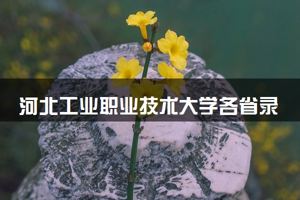 河北工业职业技术大学各省录取分数线及位次 投档最低分是多少(2024年高考参考)