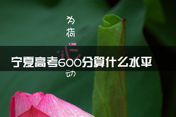 宁夏高考600分算什么水平 2024能上哪些大学