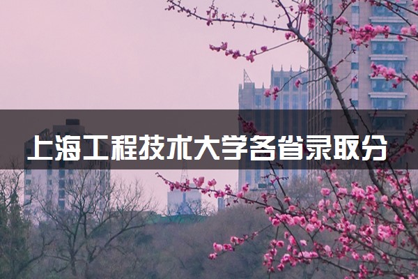 上海工程技术大学各省录取分数线及位次 投档最低分是多少(2024年高考参考)