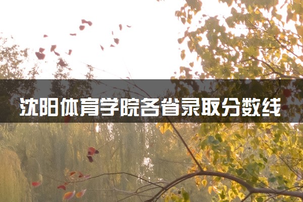 沈阳体育学院各省录取分数线及位次 投档最低分是多少(2024年高考参考)