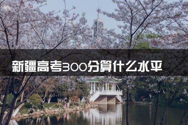 新疆高考300分算什么水平 2024能上哪些大学