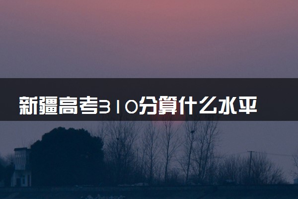 新疆高考310分算什么水平 2024能上哪些大学