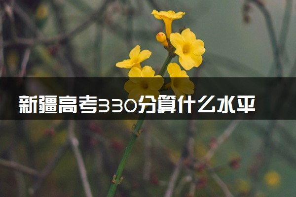 新疆高考330分算什么水平 2024能上哪些大学