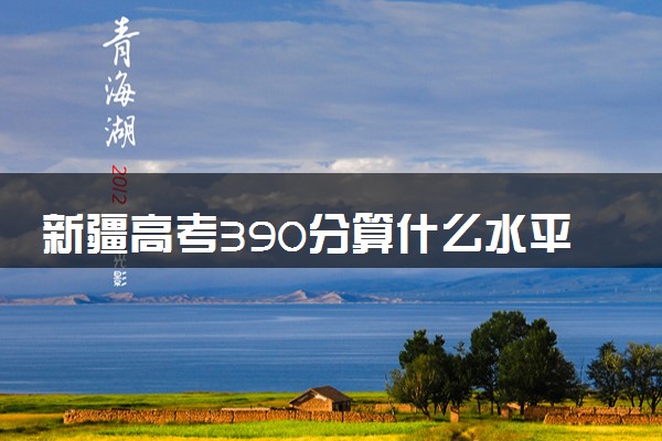 新疆高考390分算什么水平 2024能上哪些大学