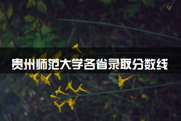 贵州师范大学各省录取分数线及位次 投档最低分是多少(2024年高考参考)