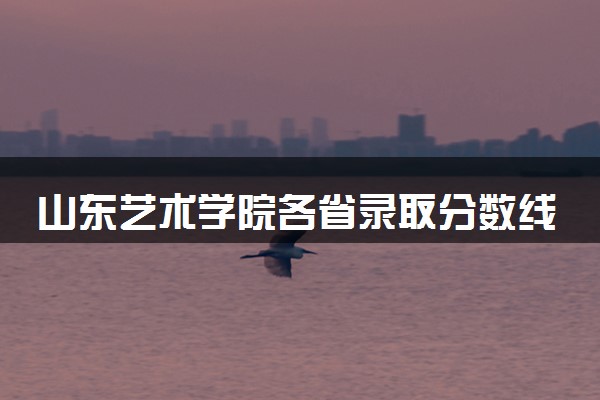 山东艺术学院各省录取分数线及位次 投档最低分是多少(2024年高考参考)