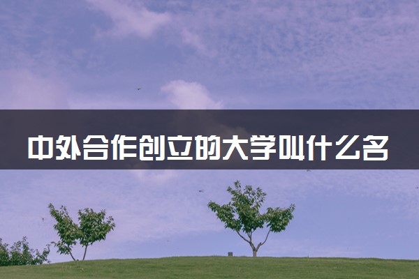 中外合作创立的大学叫什么名字 有哪些学校