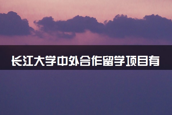 长江大学中外合作留学项目有哪些
