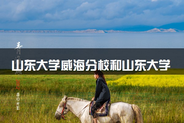 山东大学威海分校和山东大学区别 哪个好考