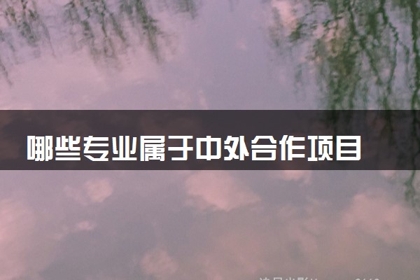 哪些专业属于中外合作项目 专业名单有什么