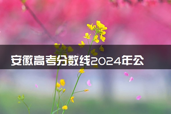安徽高考分数线2024年公布时间表 大概什么时候出