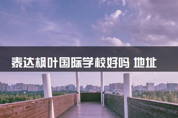 泰达枫叶国际学校好吗 地址在哪
