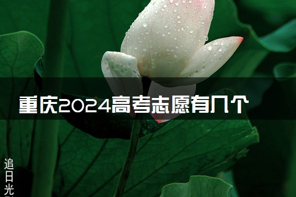 重庆2024高考志愿有几个批次 各批次志愿设置